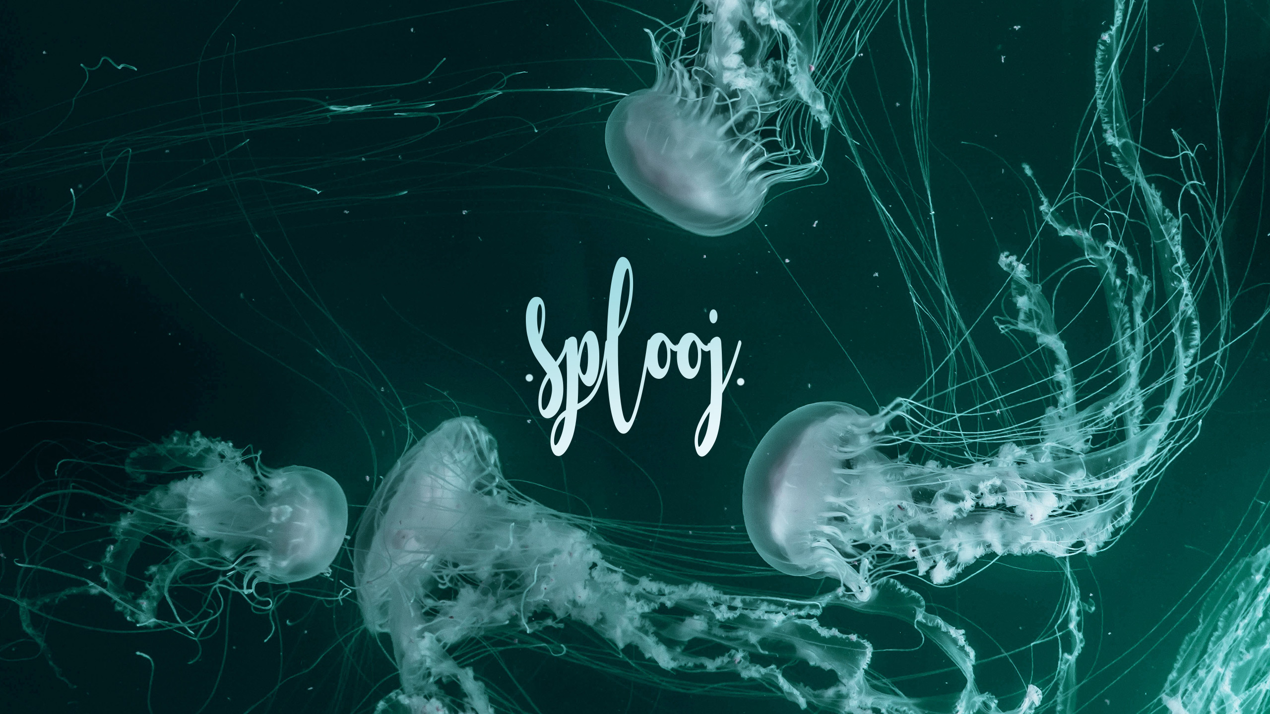 Splooj - Dominic Irla